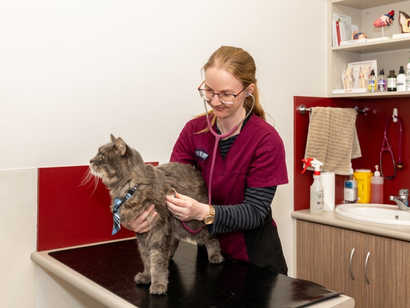 Nurse consults<br />